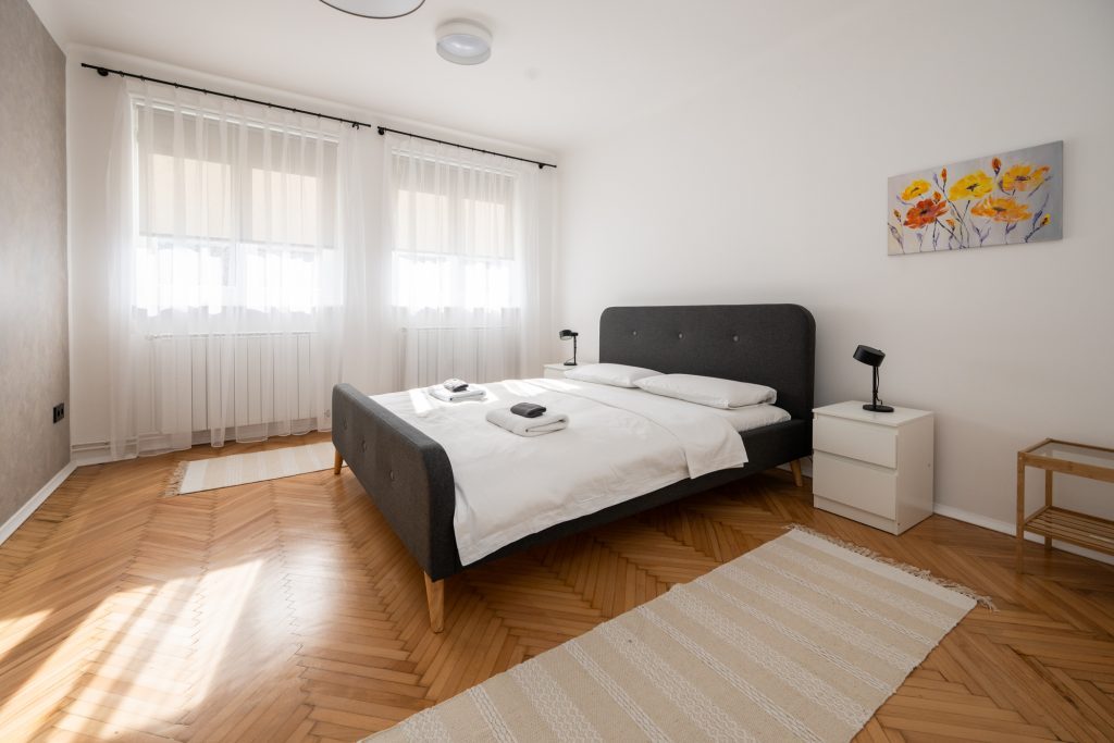 One-Bedroom Apartment near City Center